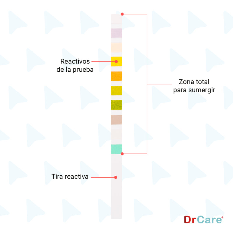 Tiras Reactivas para Análisis de Orina 10 Parámetros Nova Test 100 Piezas