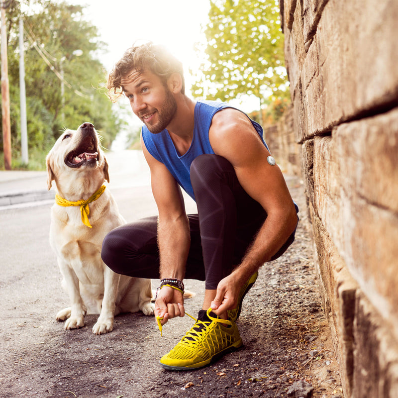 Kit De 4 Sensores FreeStyle Libre 2 Plus Para Monitoreo De Glucosa