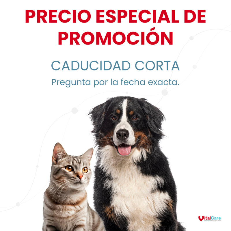Prueba Felina De Ac Virus De Inmunodeficiencia + Ag Leucemia (Ac FIV + Ag FELV)