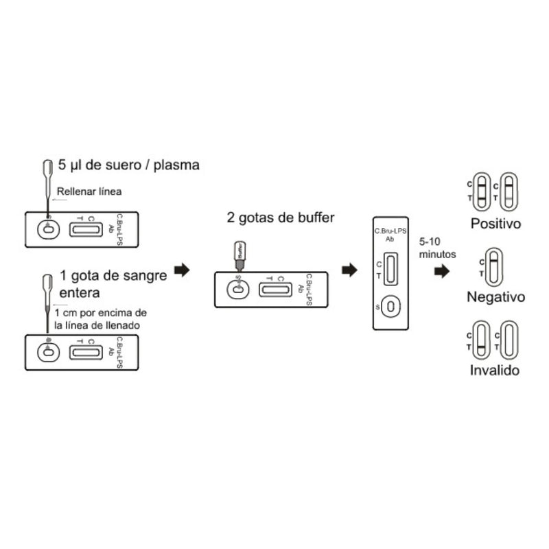 Prueba Canina De Ac Contra Brucella Canis (Bru-LPS)